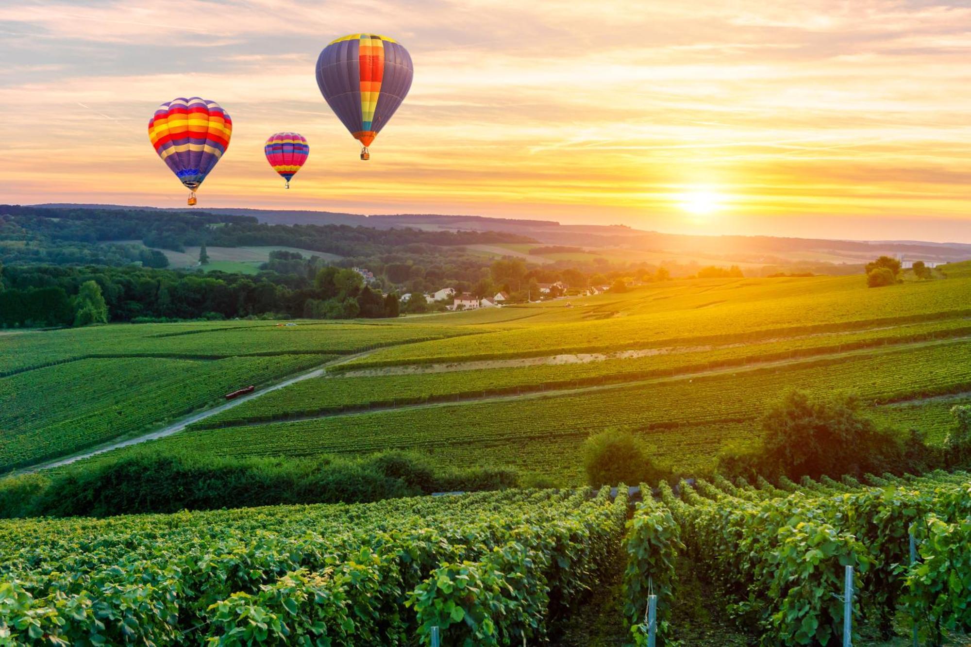 Champagne Central - Exceptionnel 3 Chambres Reims Zewnętrze zdjęcie